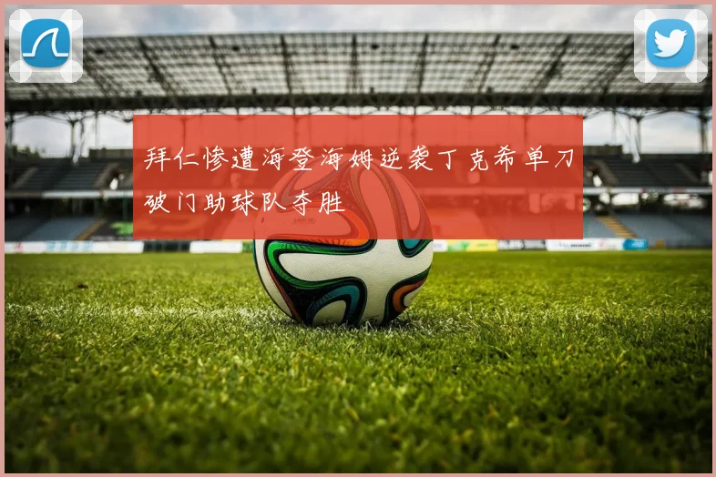 拜仁惨遭海登海姆逆袭丁克希单刀破门助球队夺胜