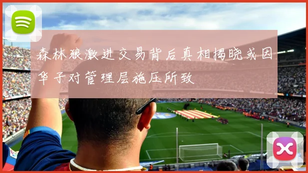 森林狼激进交易背后真相揭晓或因华子对管理层施压所致