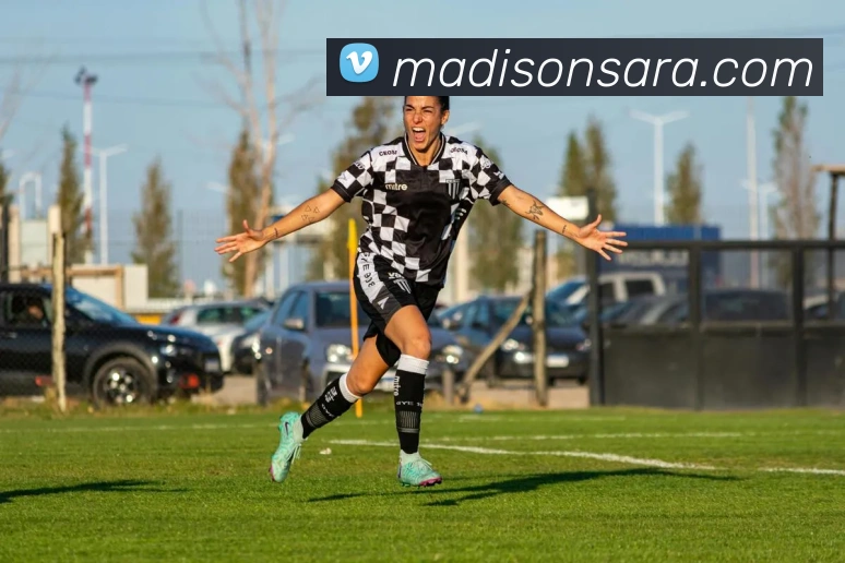 华体会首页平台生态图